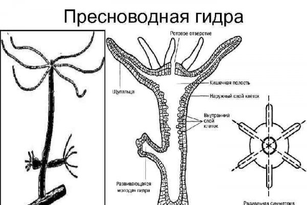 Домен кракена